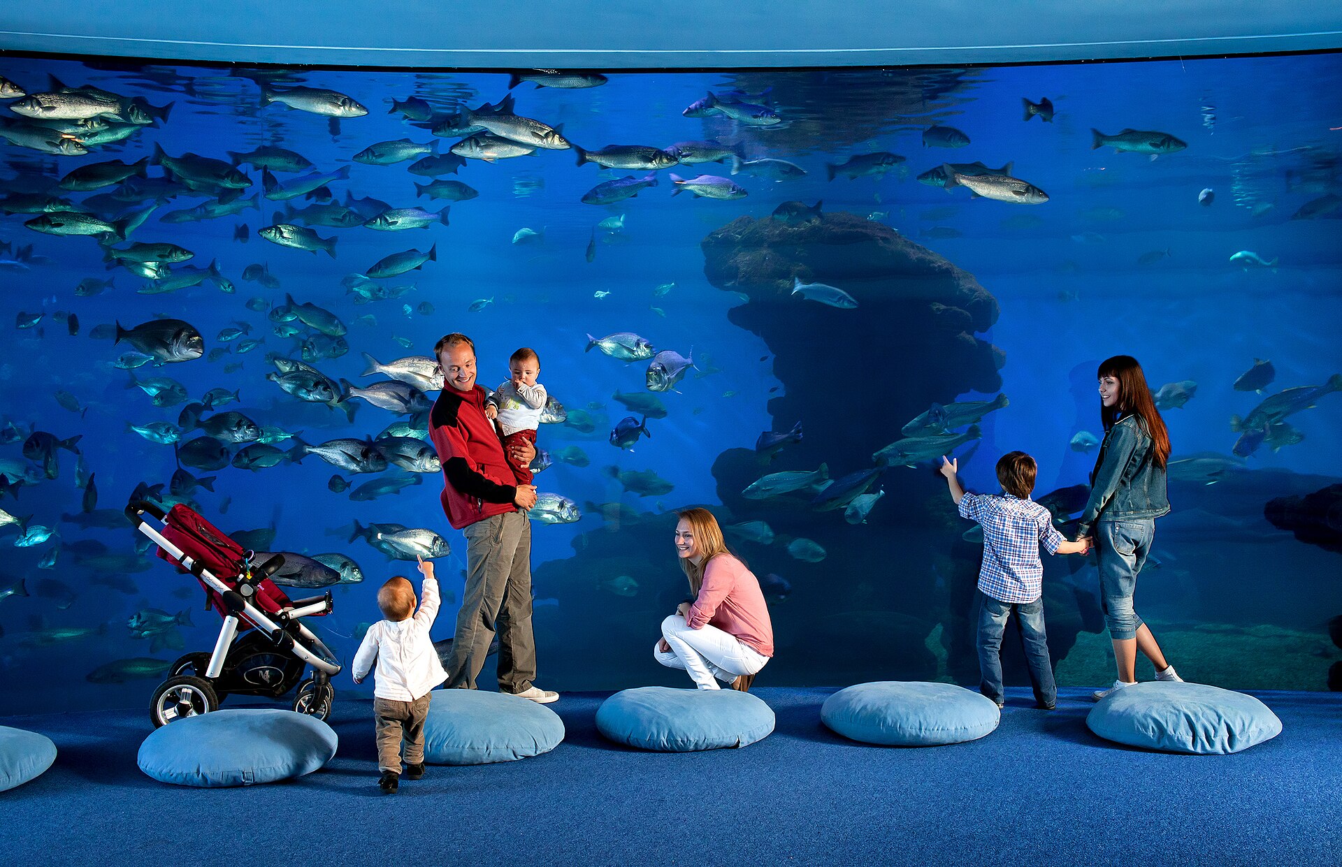 Instalaciones interiores de Palma Aquarium