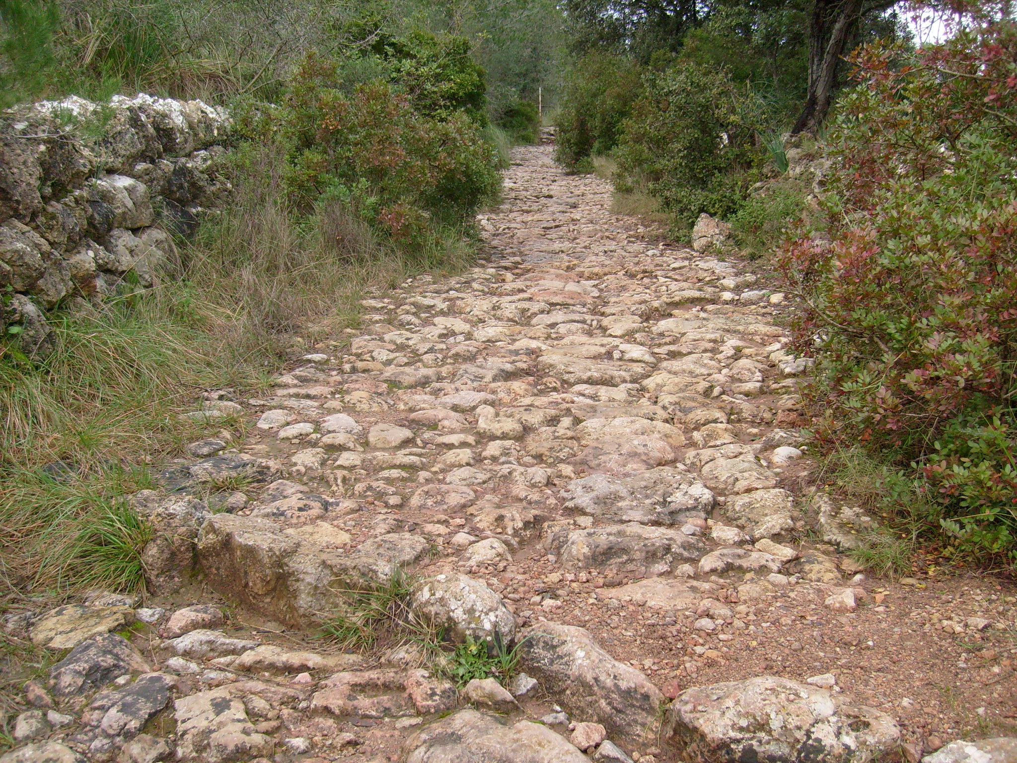 Camino tradicional de piedra del Camí des Correu