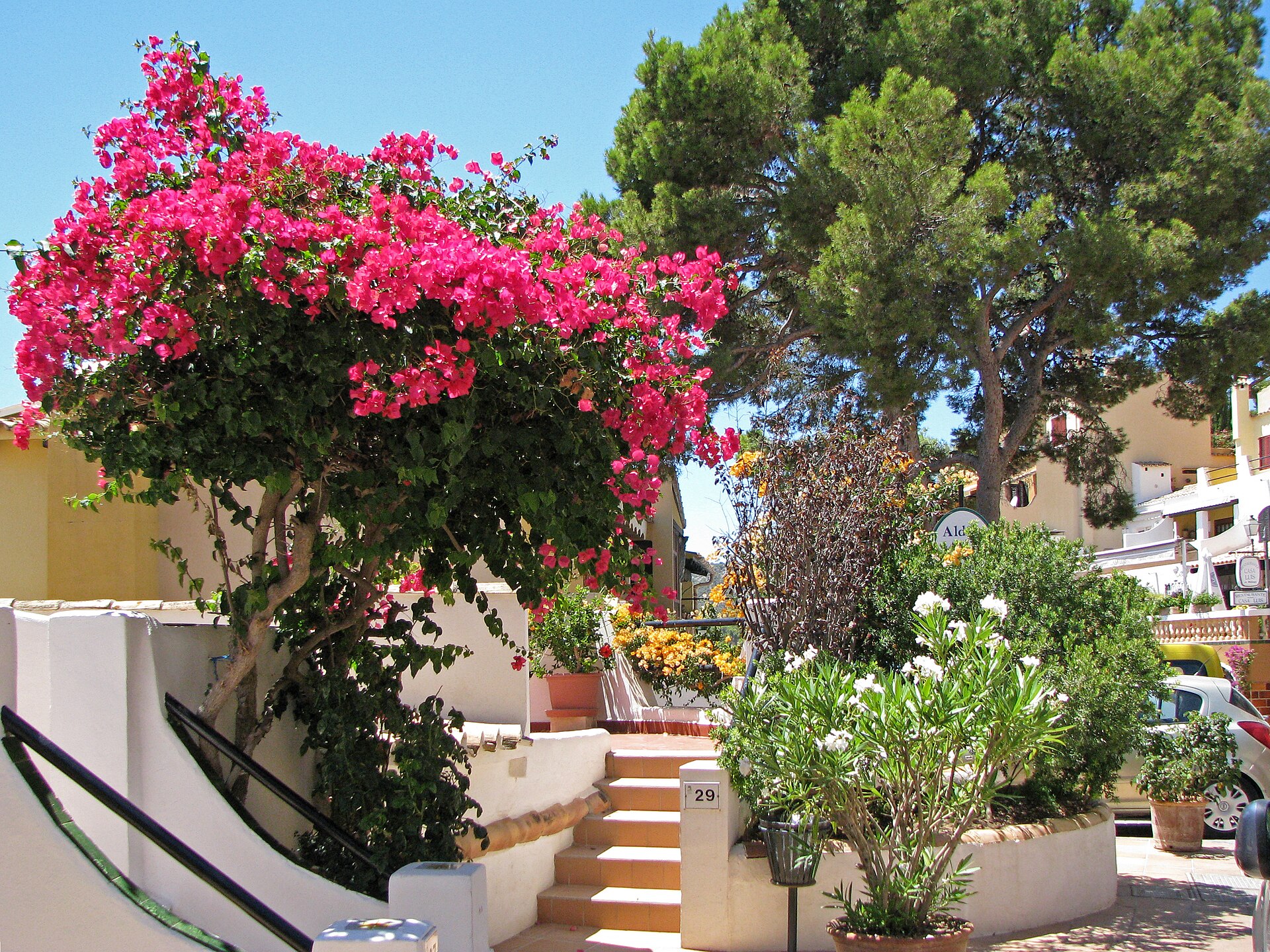 Cala Fornells, Mallorca