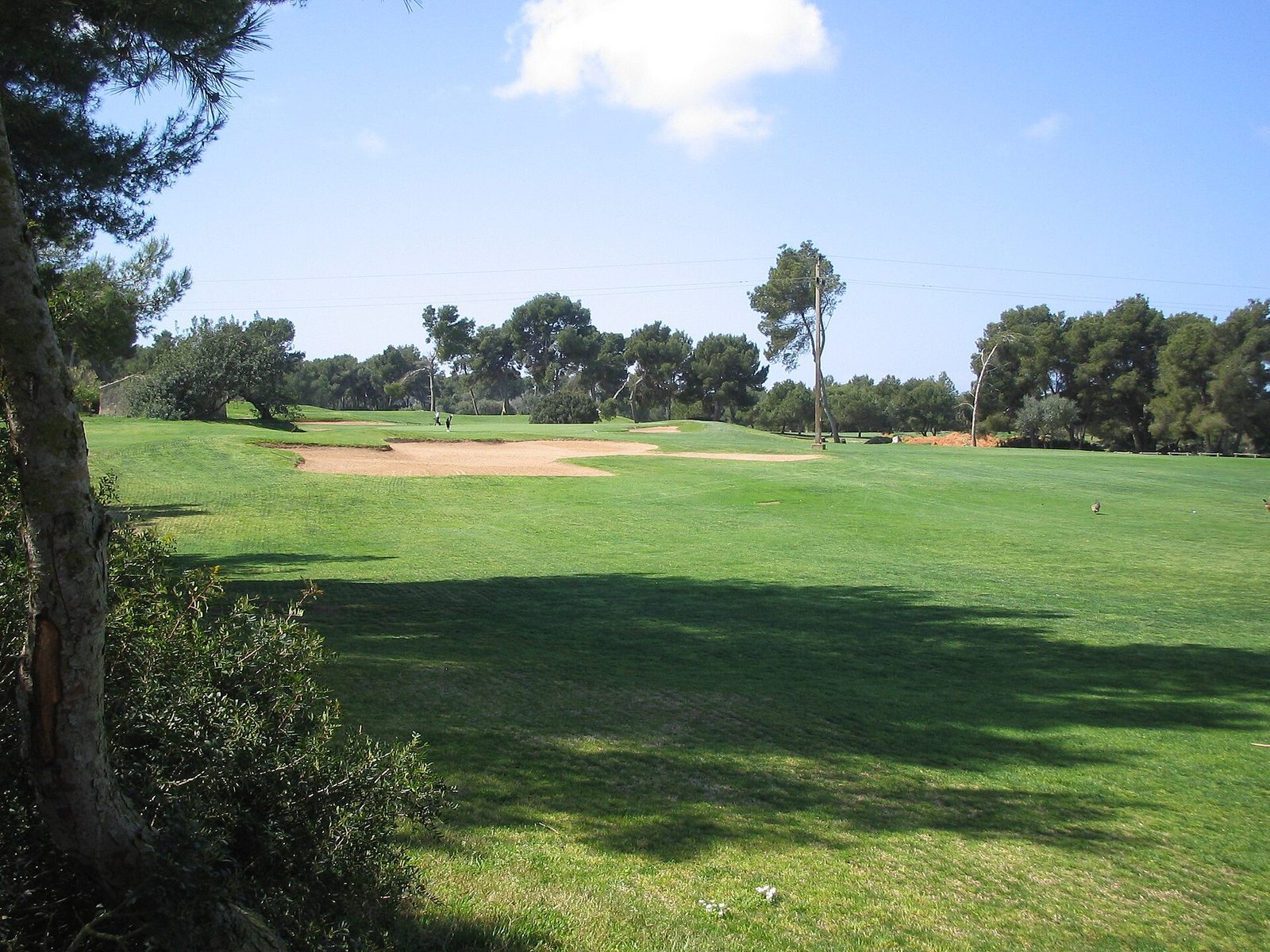 Vista del campo T Golf Calvia